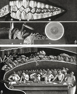 Illustration for article titled Fritz Kahn's Whimsical Infographics Turn People Into Contraptions